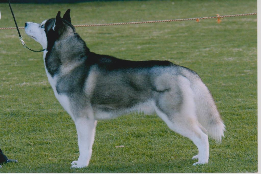 Photo of Canyonlands Most Wanted (AI)