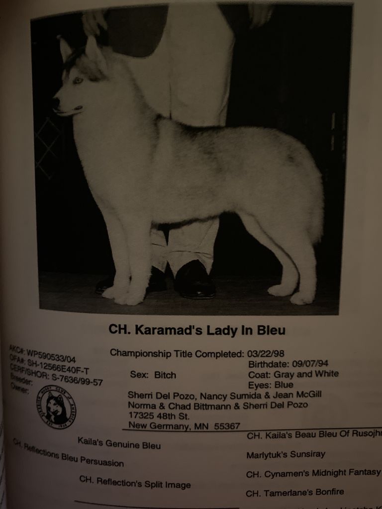 Photo of Karamad’s Lady In Bleu