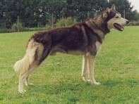 Photo of Shaktoolik’s V’Kennedy