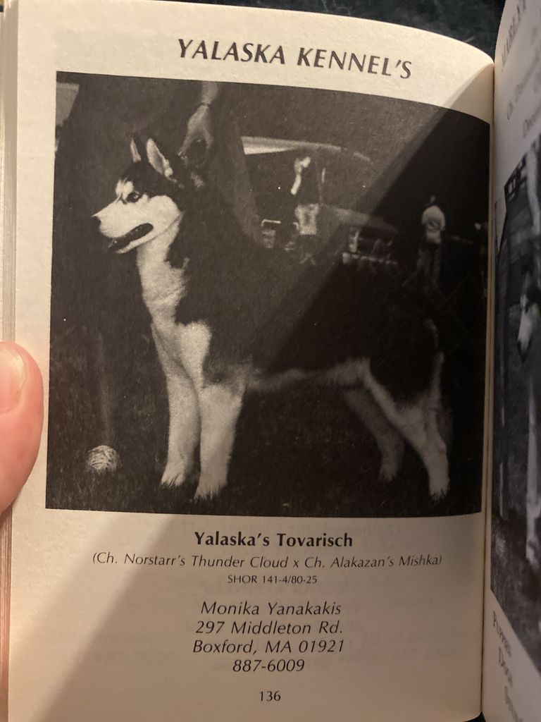 Photo of Yalaska’s Tovarisch