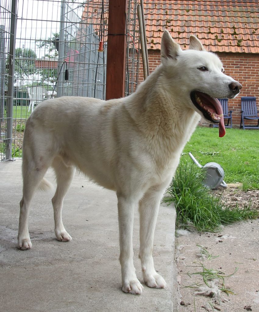 Photo of Hondo Rieblinger Winkelhof