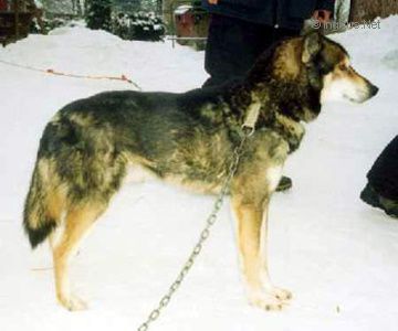 Photo of Arctic Soul Eddy