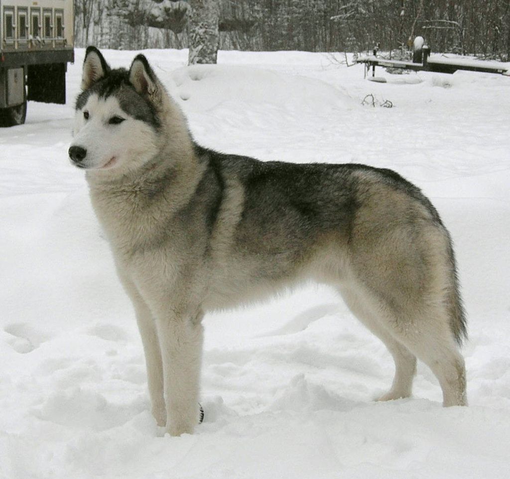 Photo of Stormwatch’s Typhoon At Windswept