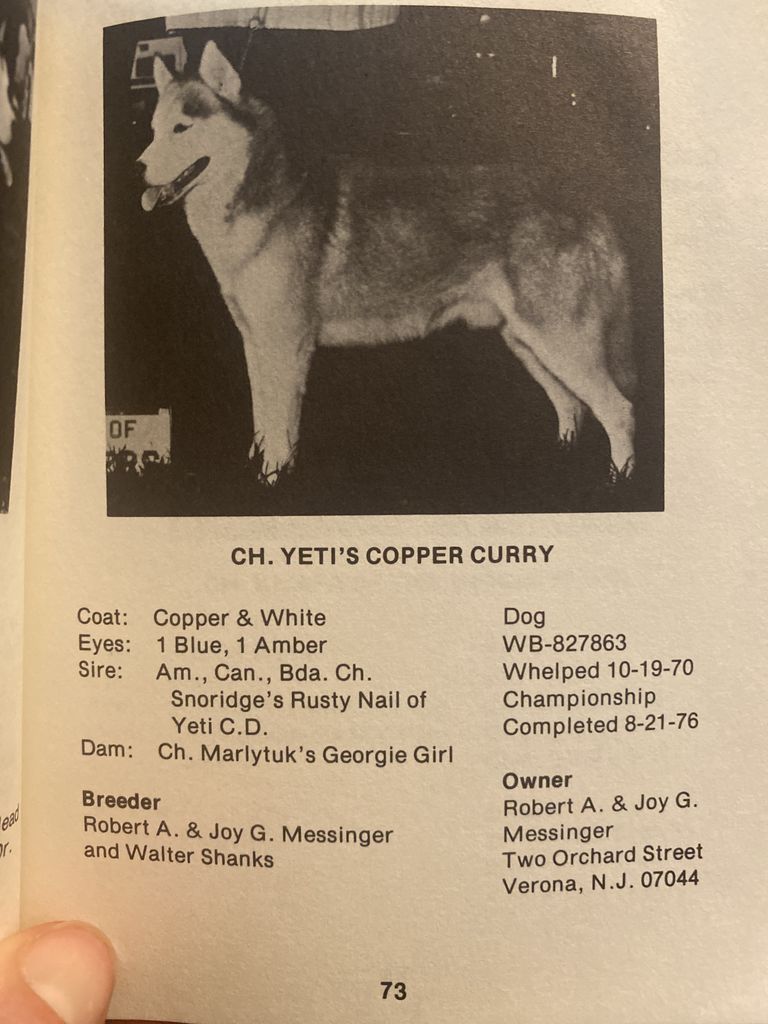 Photo of Yeti’s Copper Curry