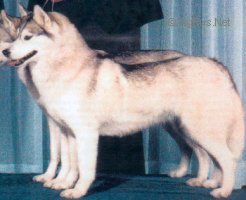 Photo of Ihalmuit's Fair Dawn