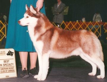 Photo of Bain Northern Stebben Starbuck