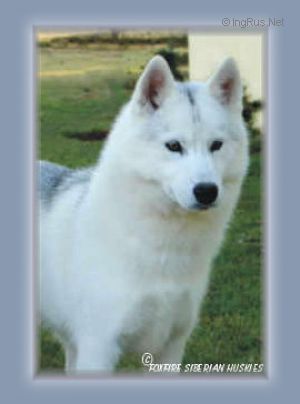 Photo of Foxfire Rumour Has It