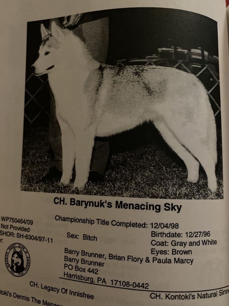 Photo of Barynuk’s Menacing Sky