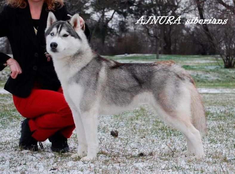 Photo of Big Foot Good Morning Lara