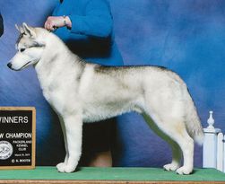 Photo of Kansa Something To Be Proud Of