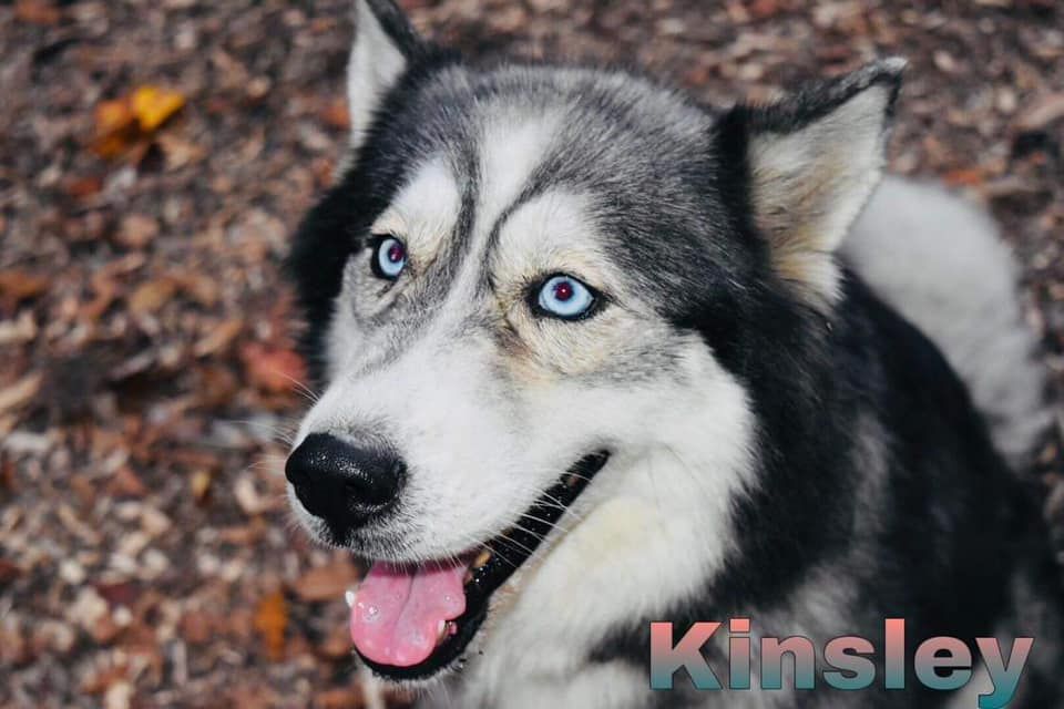 Photo of Madison’s Kinsley Cortana