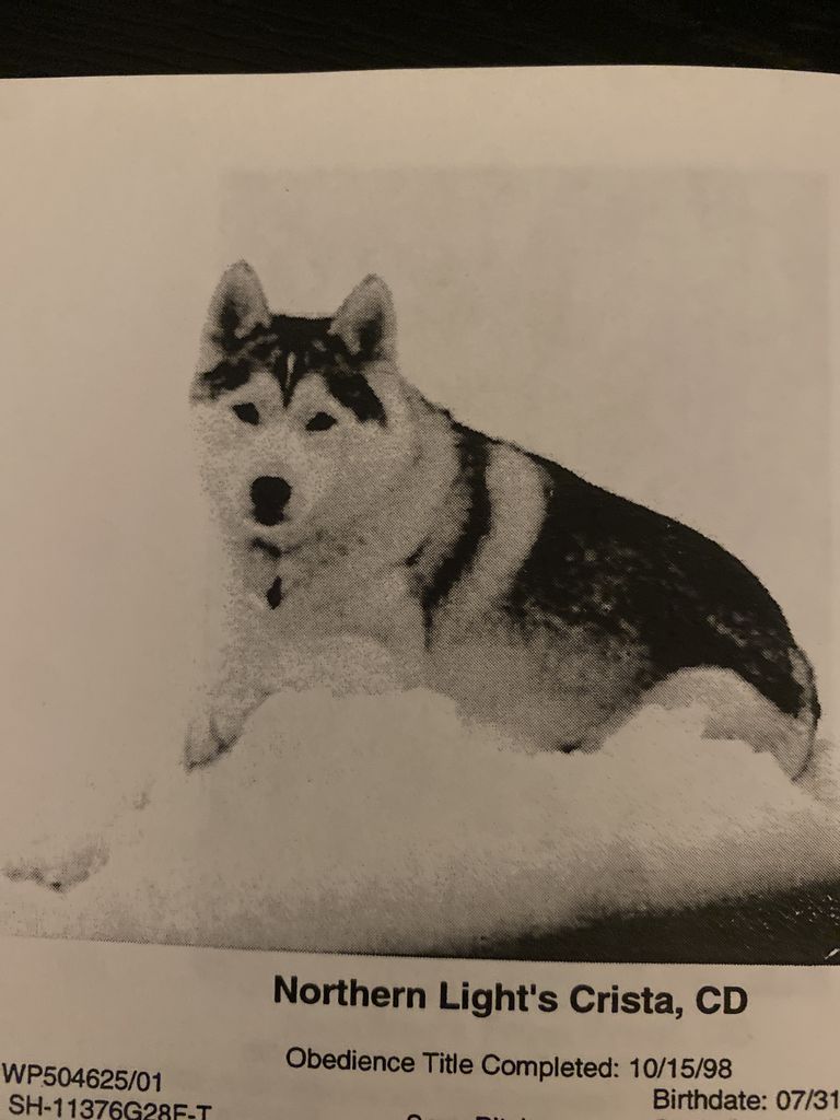 Photo of Northern Light’s Crista