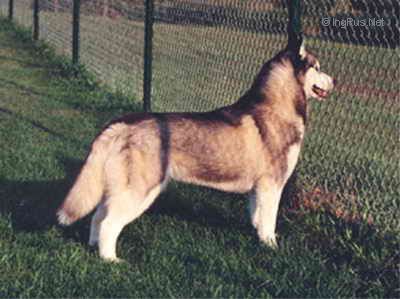 Photo of Chefornak’s Quouvali