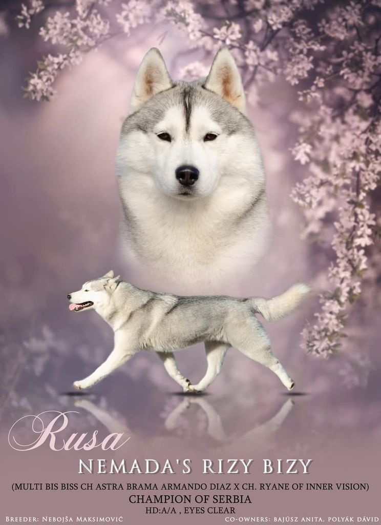 Photo of Nemada's Rizy Bizy