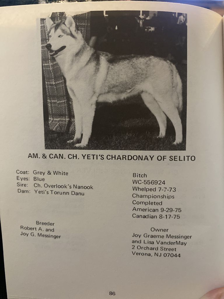 Photo of Yeti’s Chardonnay Of Selito