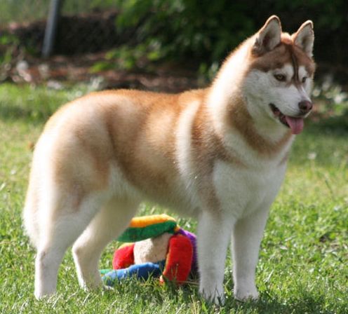 Photo of Kristari's Sunny Daze