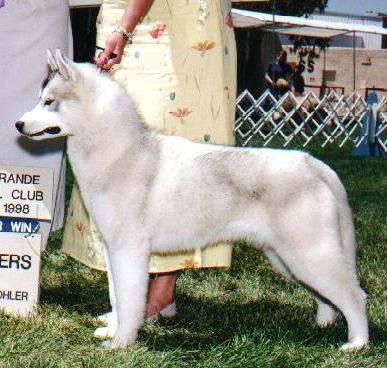 Photo of Topaz Jesse James