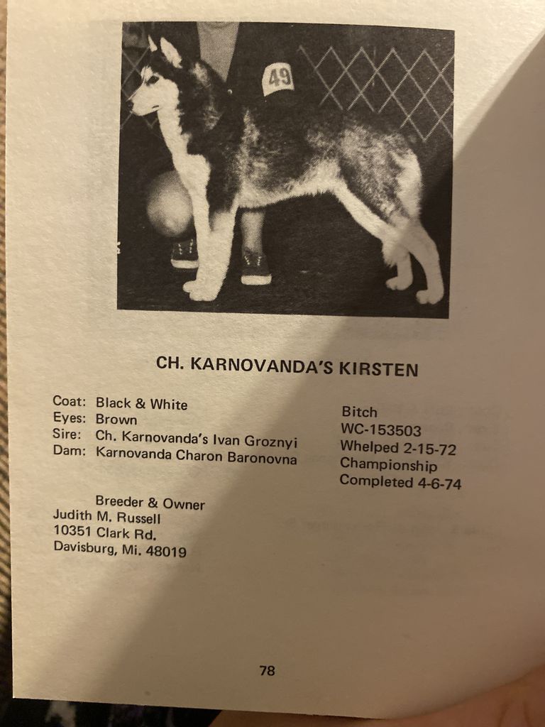 Photo of Karnovanda’s Kirsten