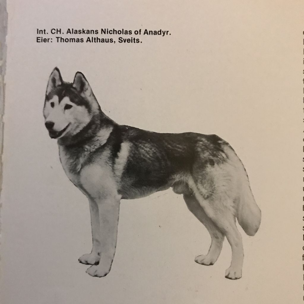 Photo of Alaskan’s Nicholas Of Anadyr