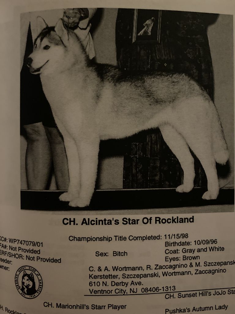 Photo of Alcinta’s Star of Rockland