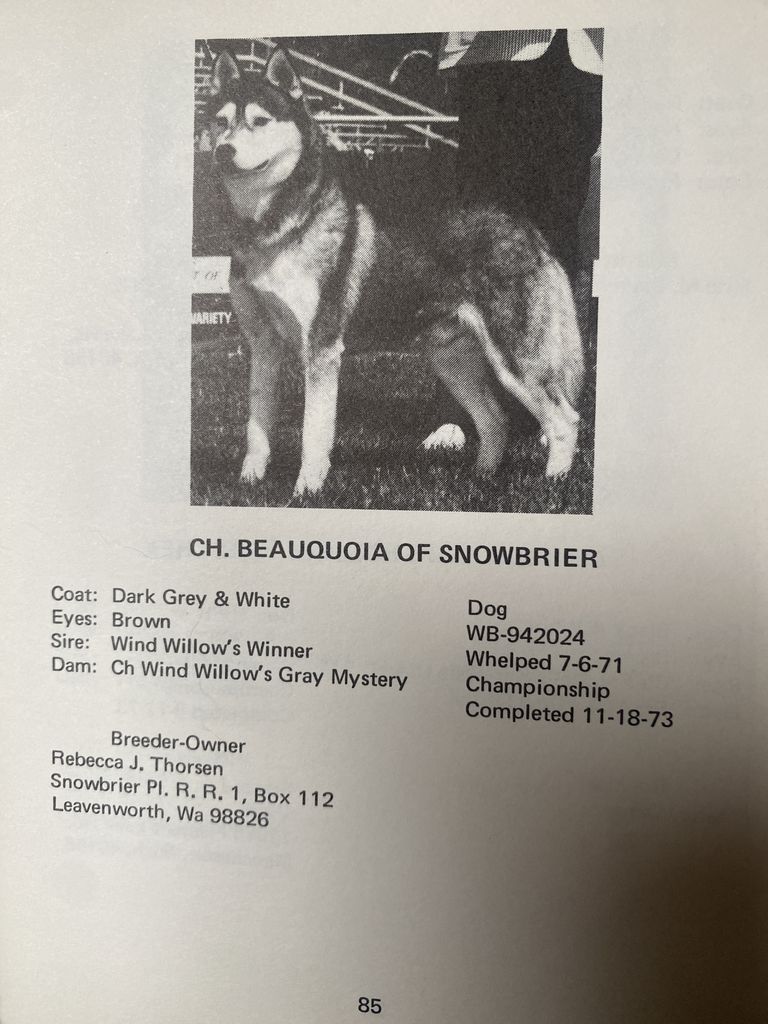 Photo of Beauquoia Of Snowbrier