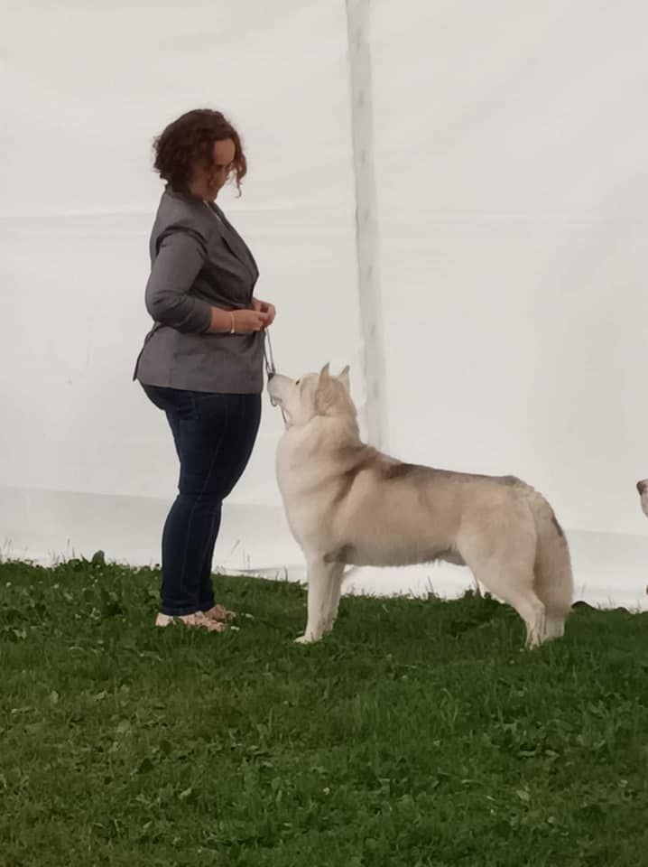 Photo of Pact with the devil of Artic Ocean