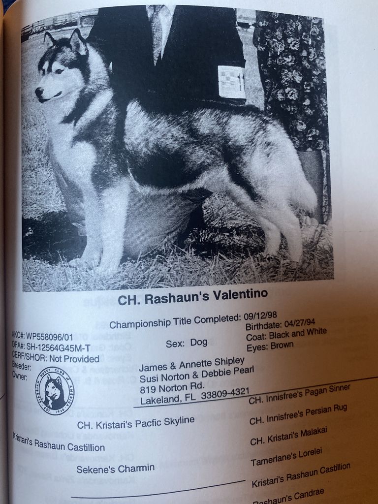 Photo of Rashaun’s Valentino