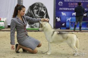 Photo of All About Orinoco Don't Worry