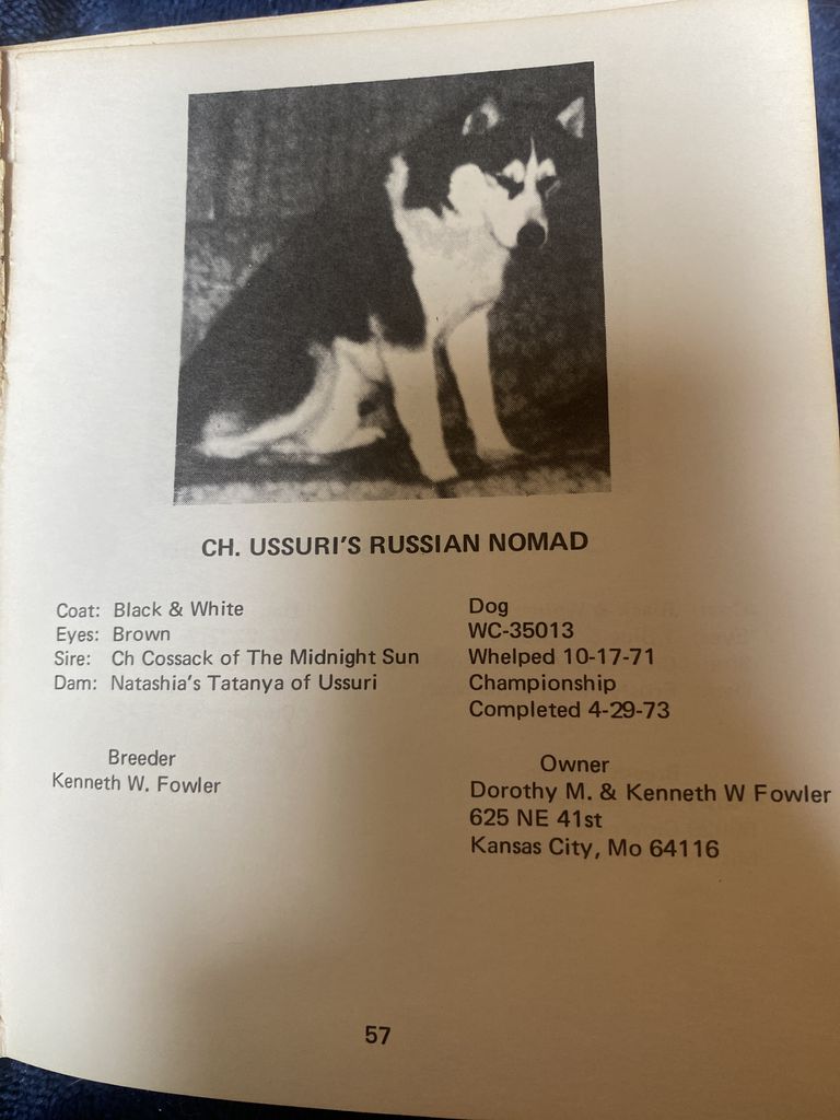 Photo of Ussuri’s Russian Nomad