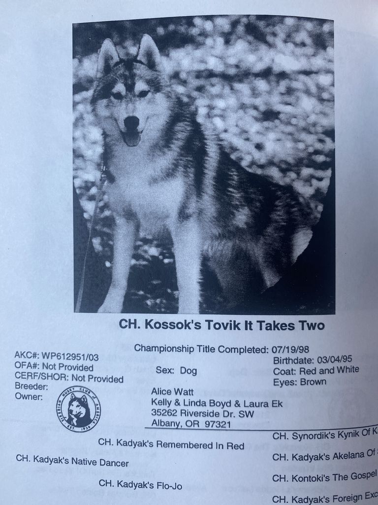 Photo of Kossok’s Tovik It Takes Two