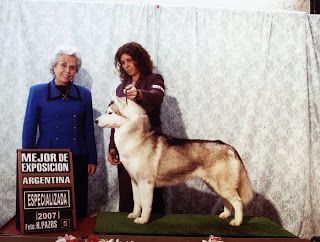 Photo of Buffy del Ykpahia