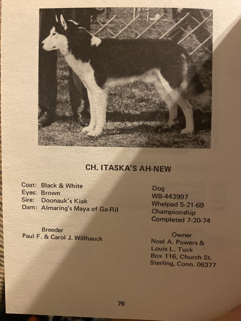 Photo of Itaska's Ah-New