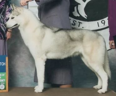 Photo of Kayenta’s Xtraordinary Luck