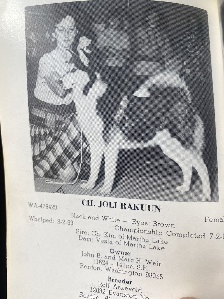Photo of Joli Rakuun