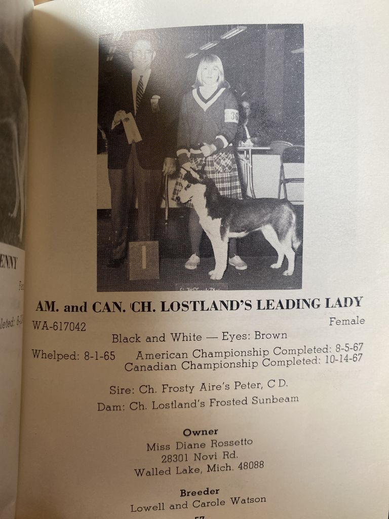 Photo of Lostlands Leading Lady