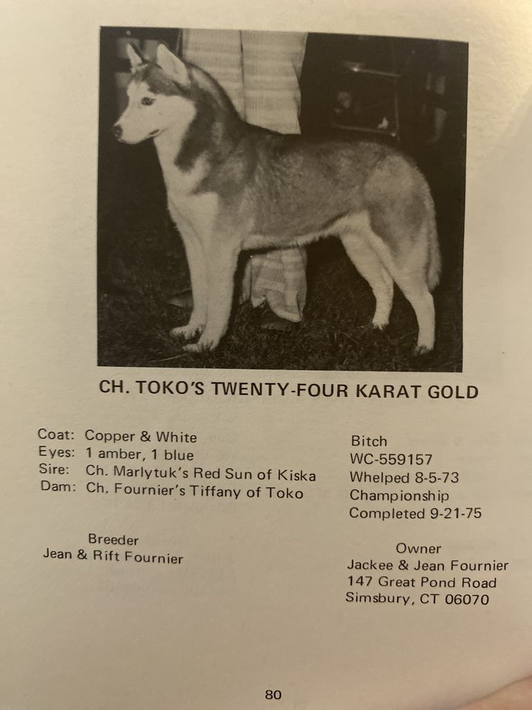 Photo of Toko’s Twenty-Four Karat Gold