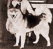 Photo of Mikiuk Tuktu Tornyak