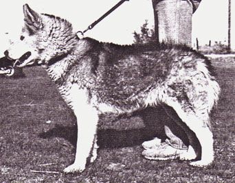 Photo of Kidron Of Spirit Wind