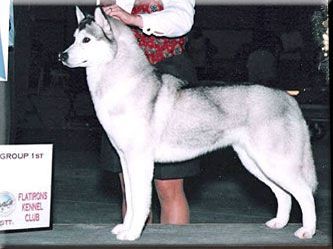 Photo of Wildestar’s Cat Ballou