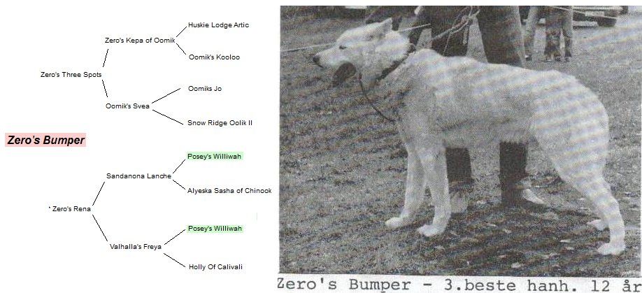 Photo of Zero’s Bumper