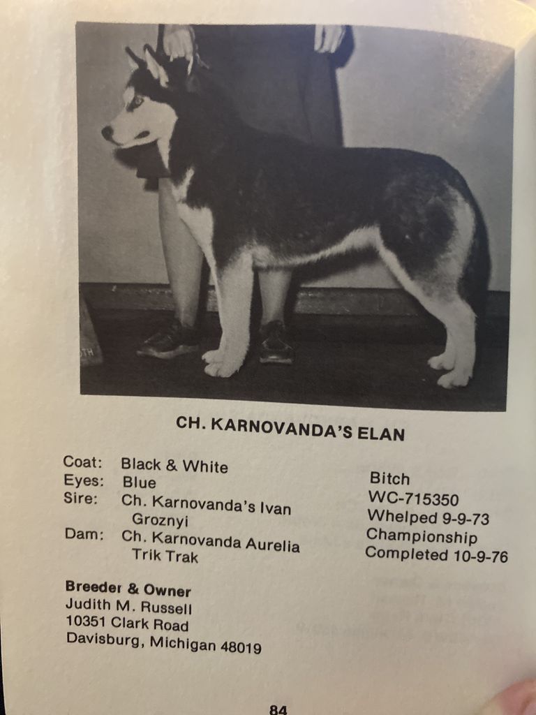 Photo of Karnovanda’s Elan