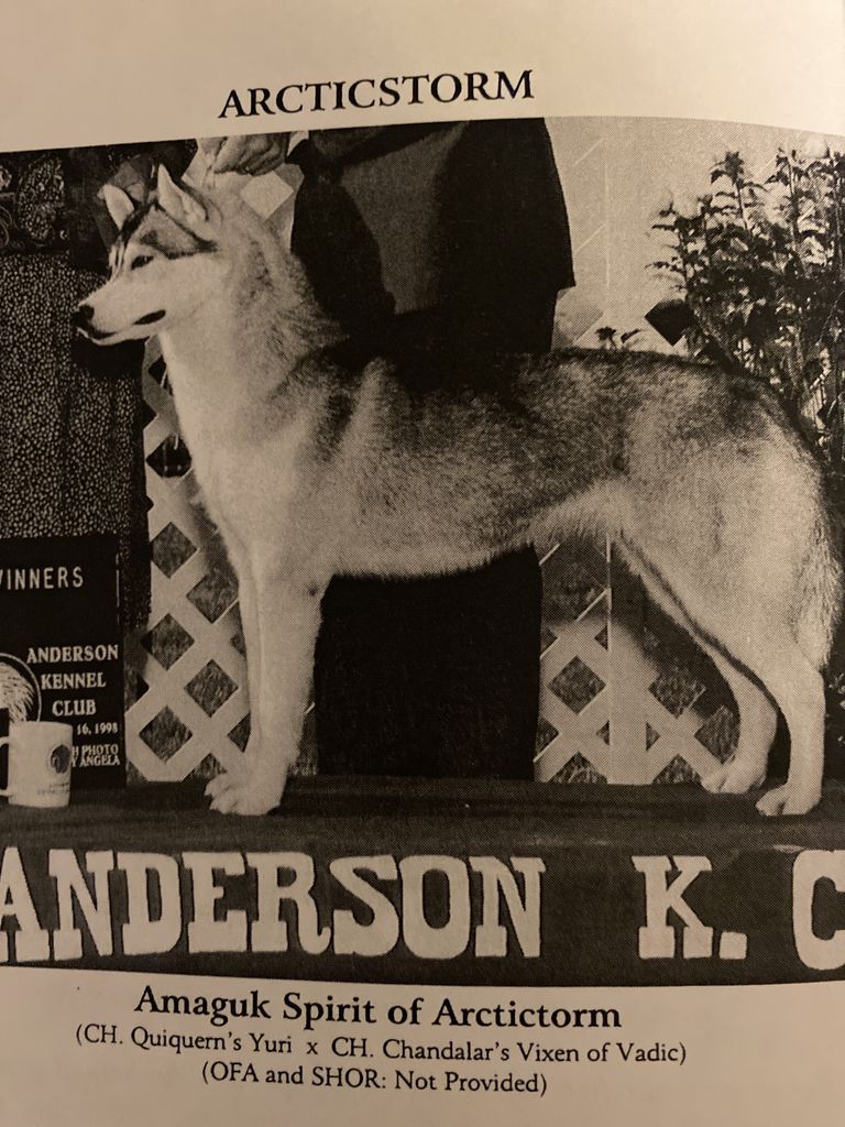 Photo of Amaguk Spirit Of Arcticstorm