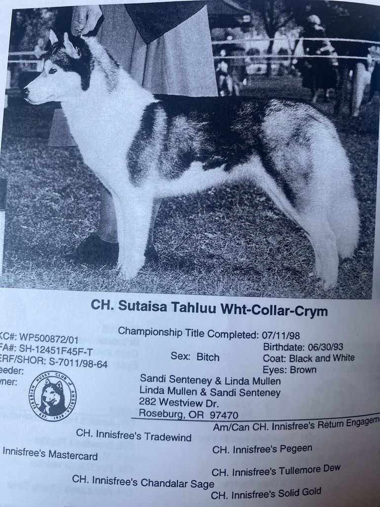Photo of Sutaisa Tahluu Wht-Collar Cryme