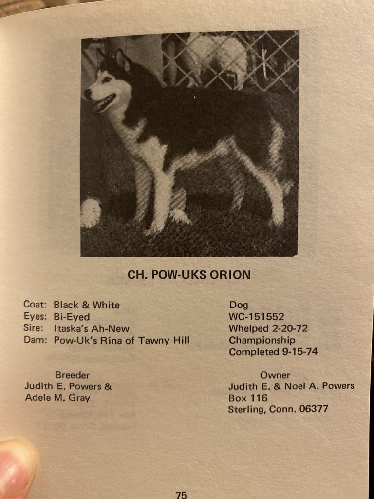 Photo of Powuk’s Orion