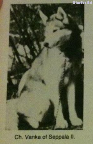 Photo of Vanka Of Seppala II