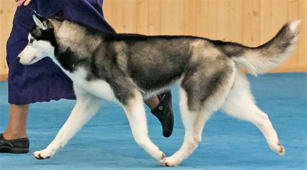 Photo of Trepak N’Sumac’s Ororo Munroe