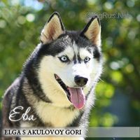 Photo of Elga s Akulovoy Gori