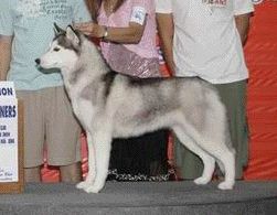 Photo of Casey’s Neasha