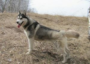 Photo of Berta