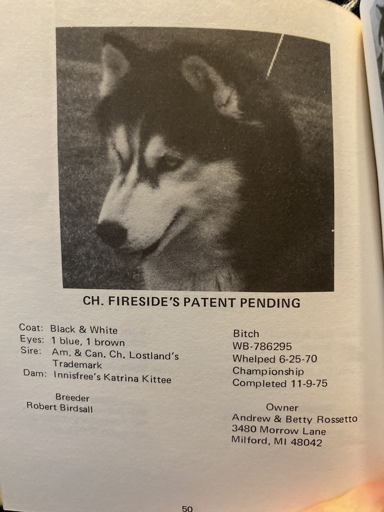 Photo of Fireside’s Patent Pending